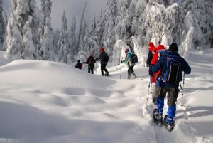 Snowshoeing (photo from Google)